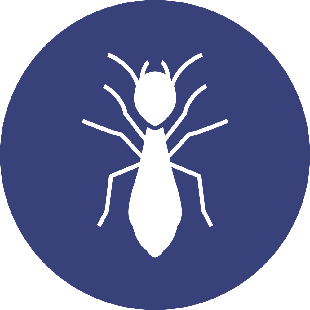 Skitterblink Termite Treatment