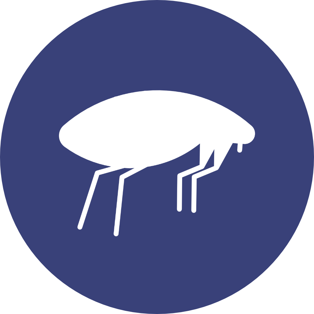 Pest Control Doringkloof