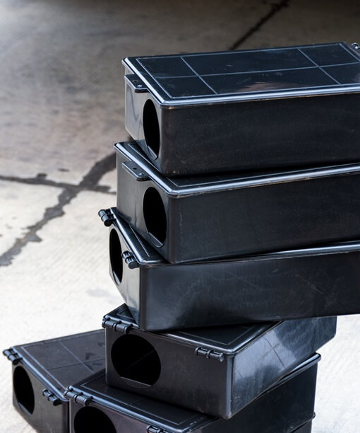 skitterblink Doringkloof Rodent Control