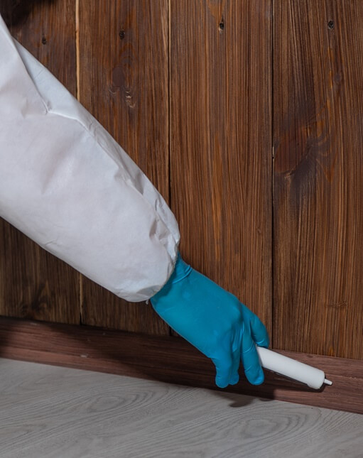 Cockroach Program Poison t skitterblink cleaning services