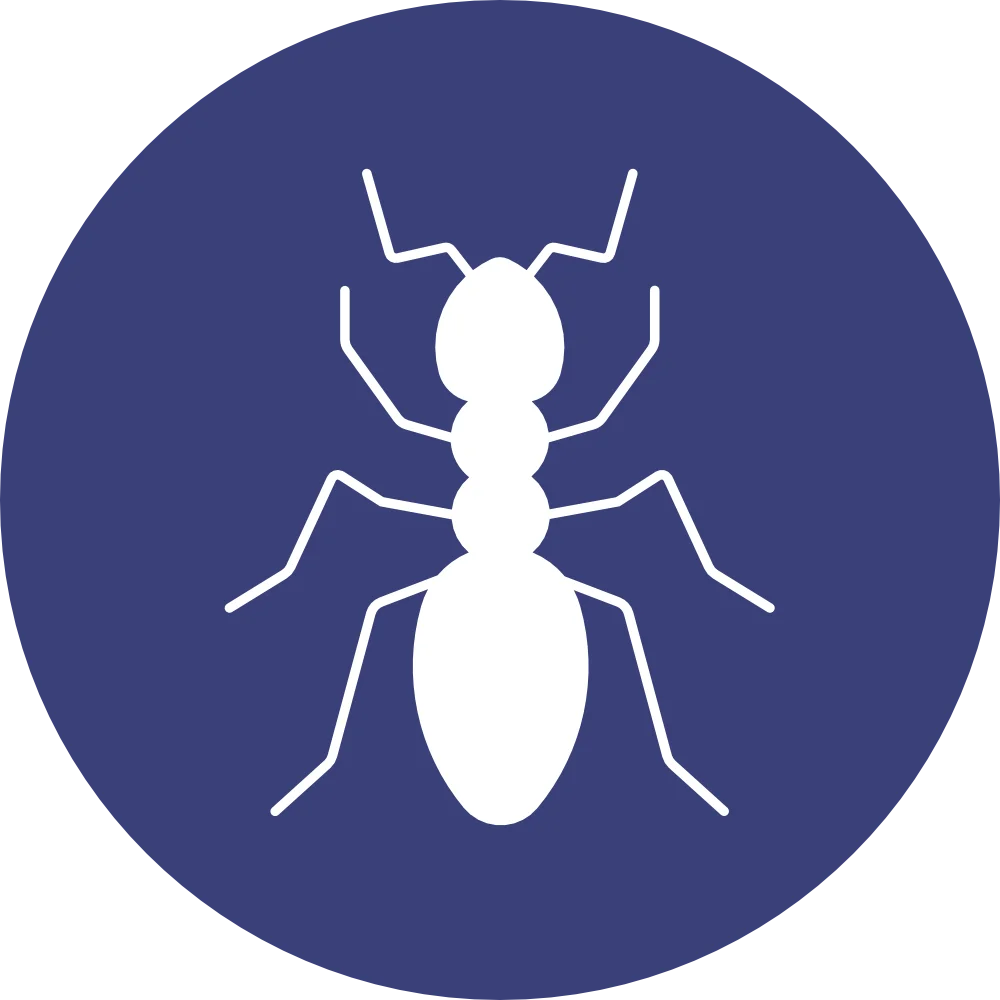 doringkloof carpet cleaning