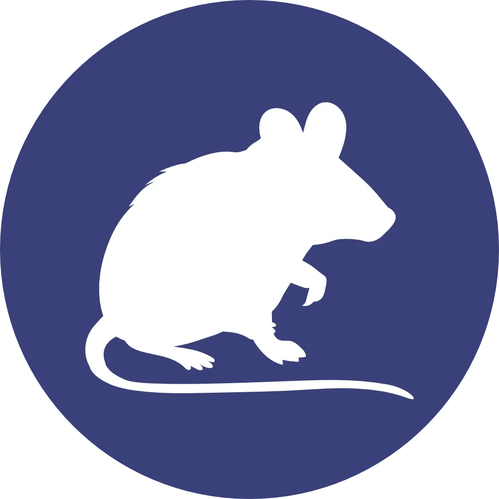 Skitterblink cleaner placement