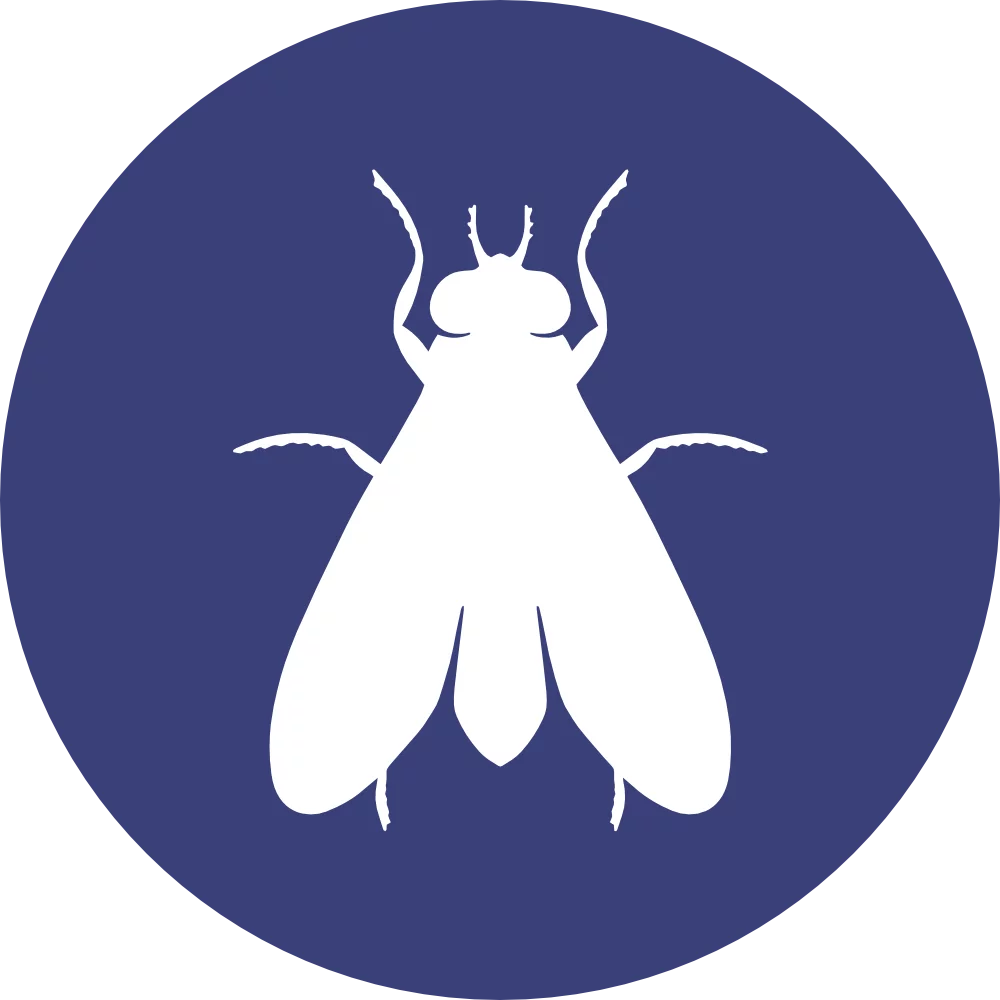 Montana Pest Control