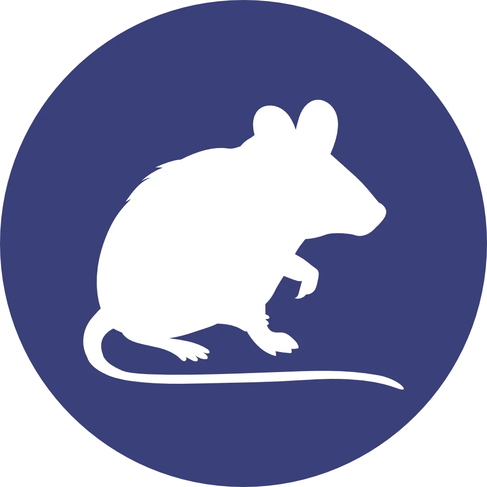 Skitterblink Rodent Control