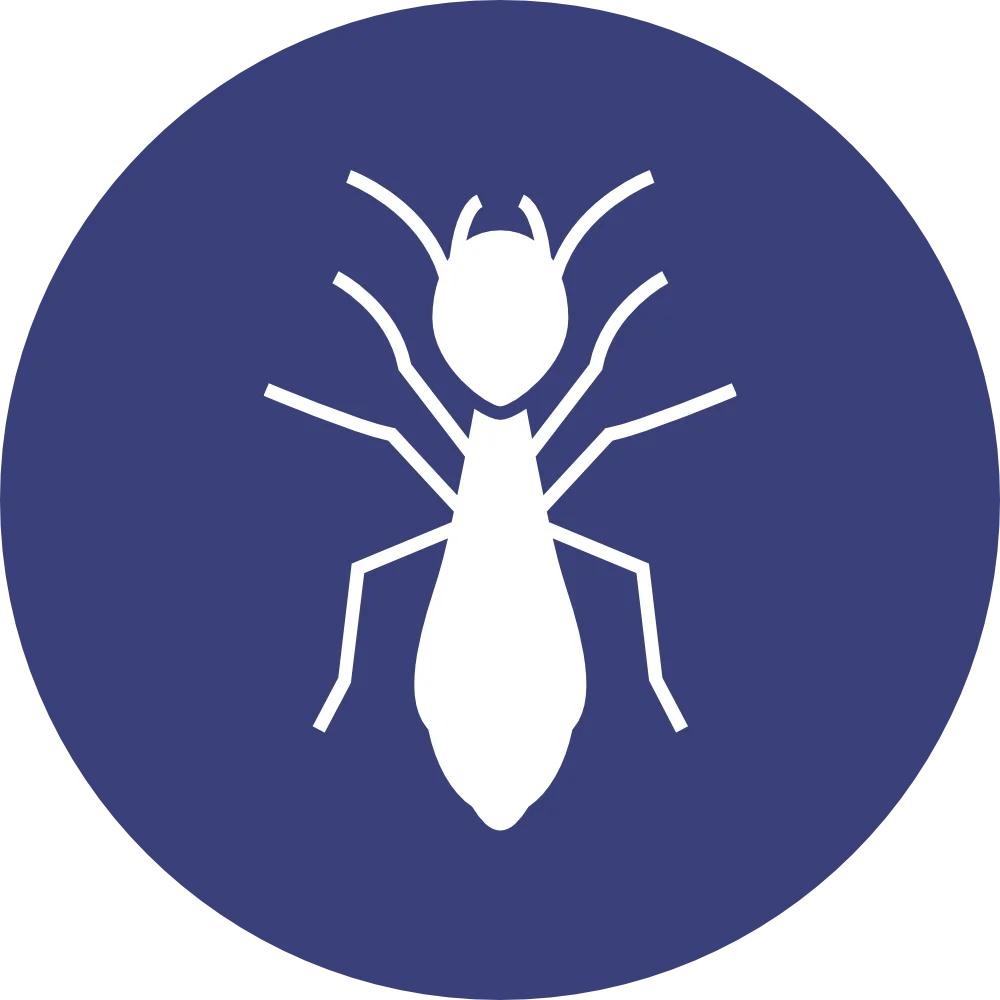 Skitterblink Termite Treatment