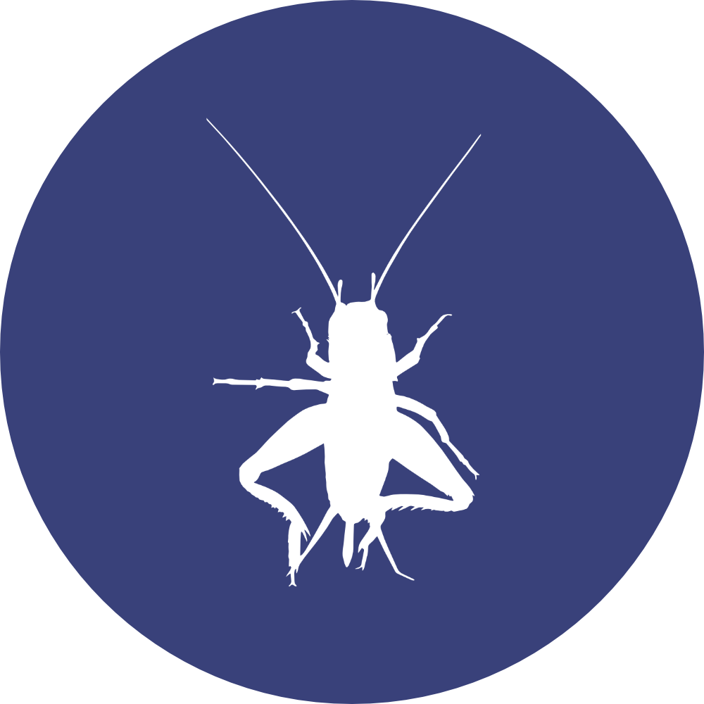 professional pest control