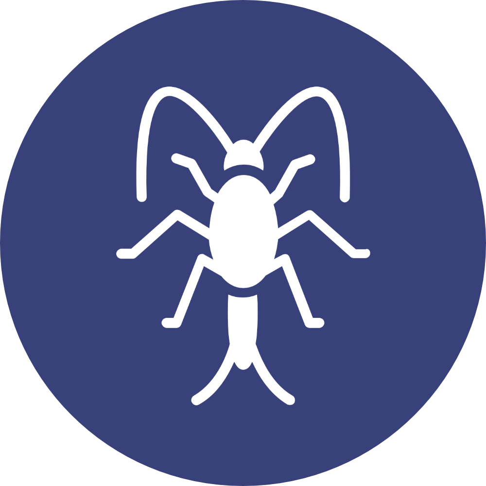 professional pest control