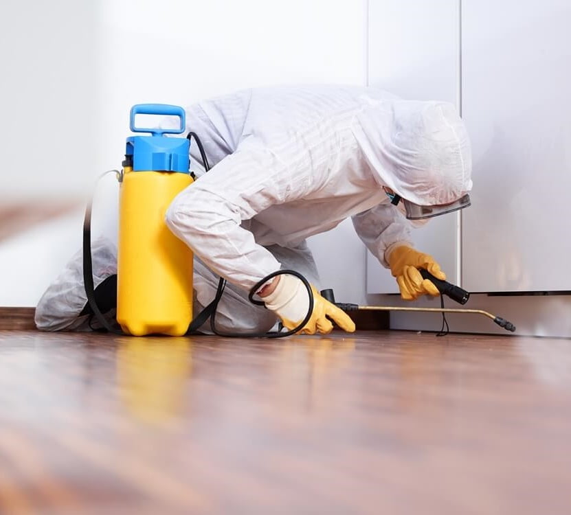 Skitterblink Pest Control – Montana