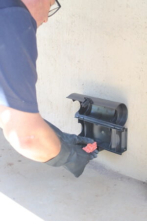 Skitterblink Montana Rodent Control