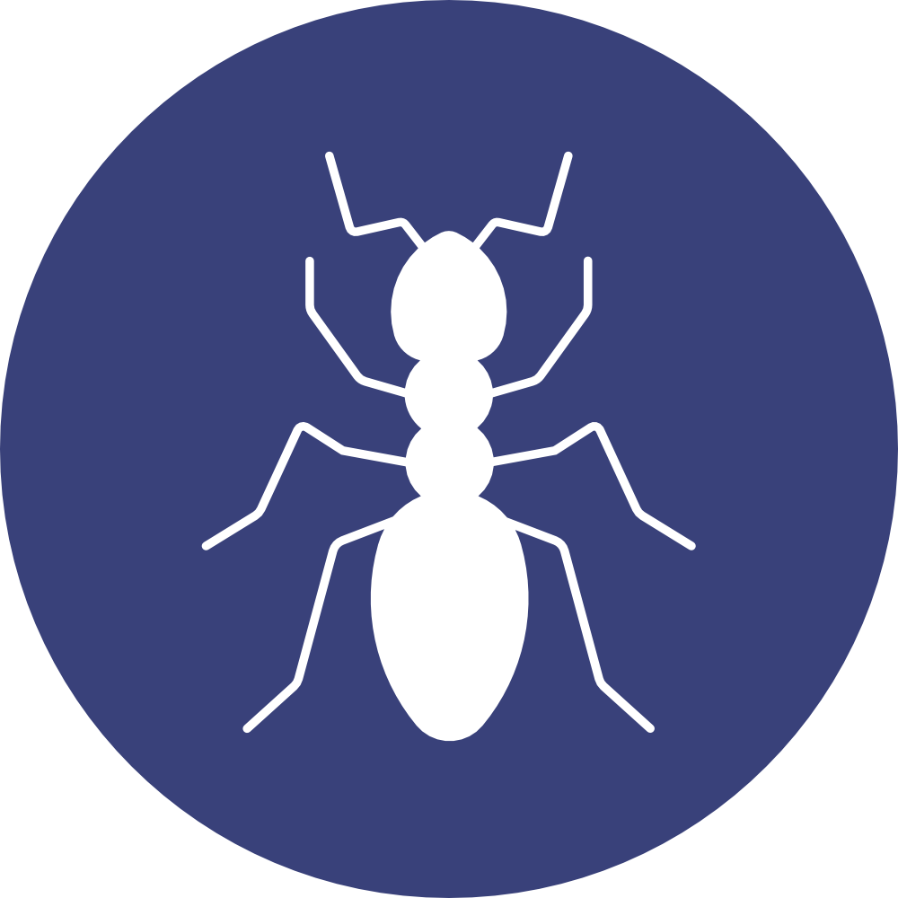 doringkloof carpet cleaning