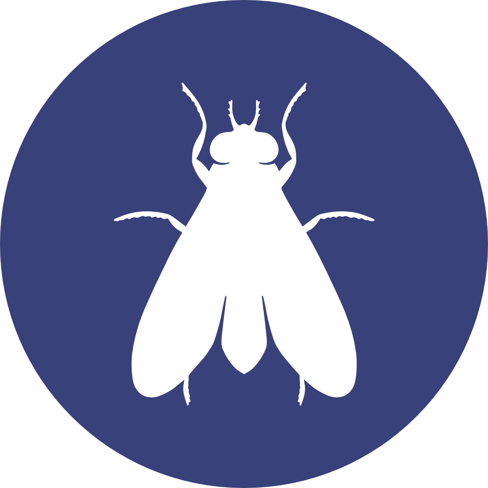 Pest Control – Alberton