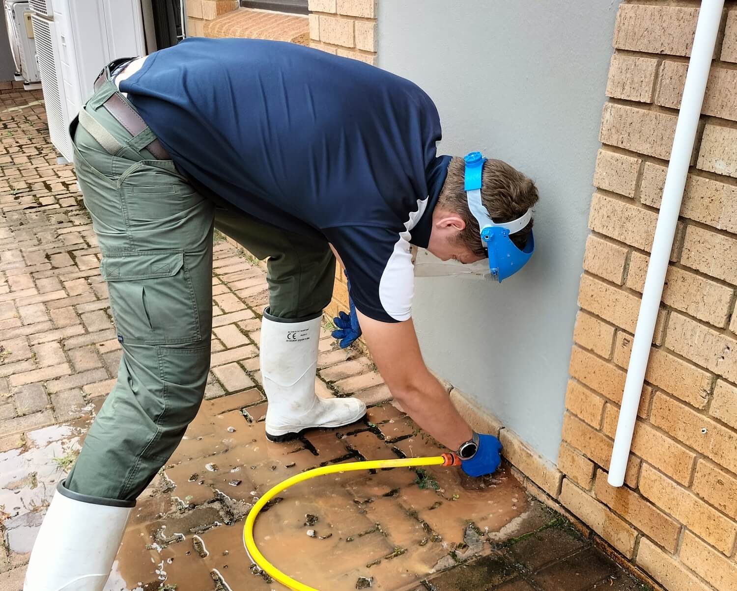 Pest-control-service work t Pest Control – Alberton