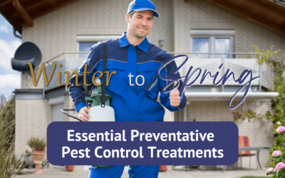 Winter to Spring: Essential Preventative Pest Treatments